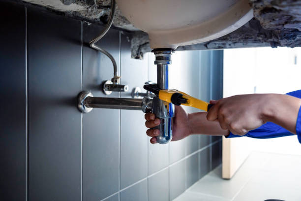 Best Plumbing System Maintenance  in Parma, ID